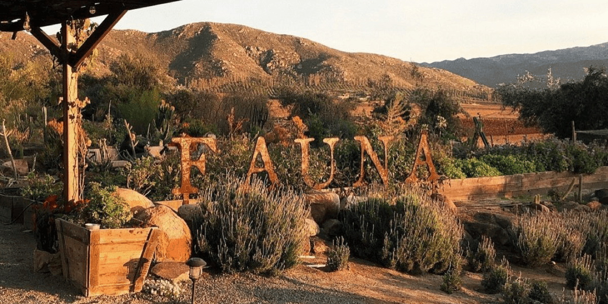 Fauna Restaurant